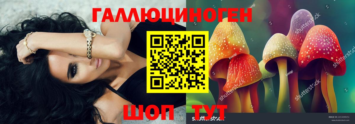 Галлюциногенные грибы Psilocybine cubensis Нурлат